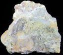 Green Prehnite Crystal Cluster - Morocco #61202-3